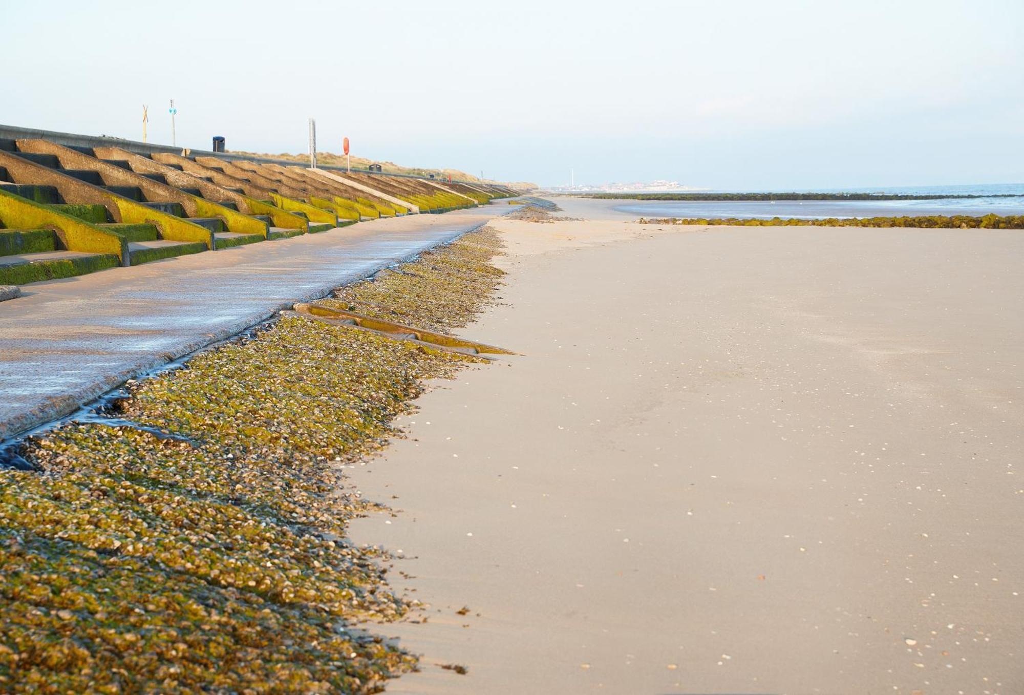 The Barn At Plas Ashpool Sleeps 8 Llandyrnog Eksteriør billede